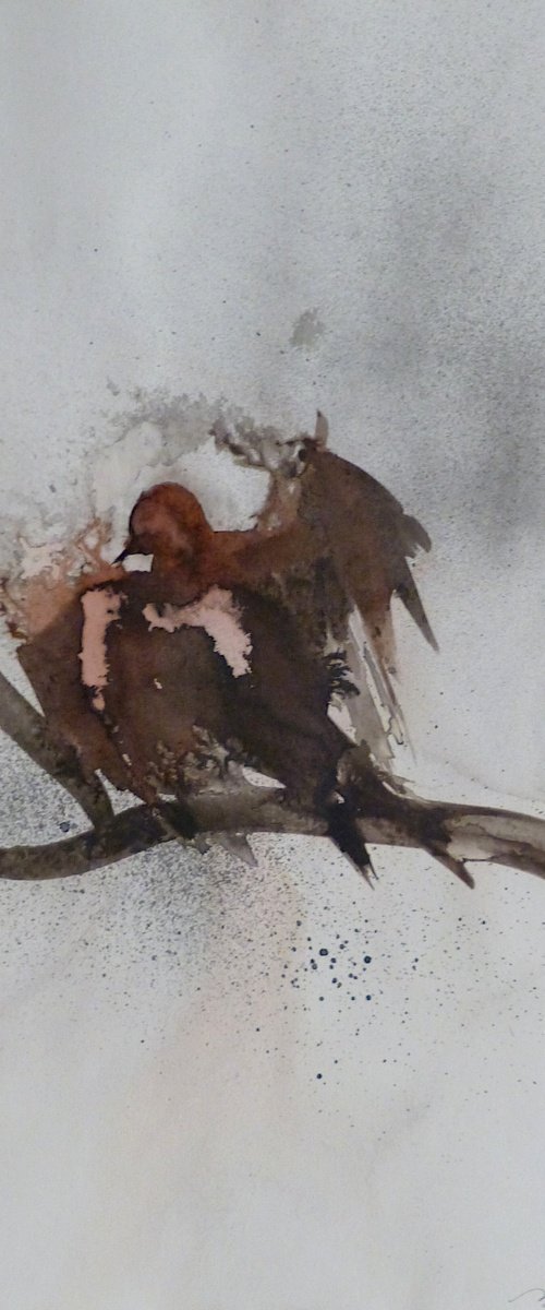 The Bird on the Branch, 29x41 cm by Frederic Belaubre