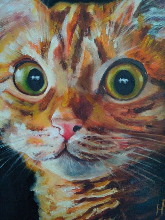 Red cat, 35x45 cm, ready to hang.