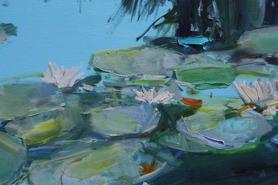 "Water Lilies "