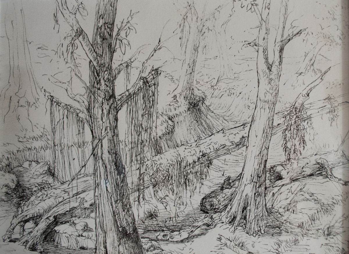 Graphic Ink Drawing , The Marsh By Nikola Ivanovic, 14 X 12, Artwork For Sale On Artfinder