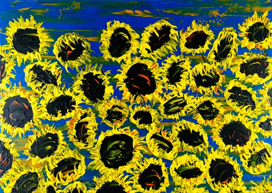 Blooming sunflowers 6