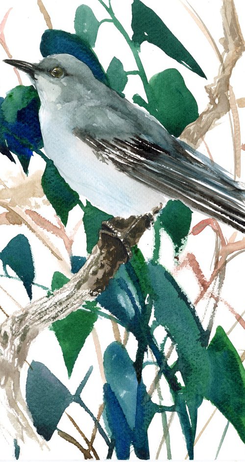 mockingbird in the forest by Suren Nersisyan