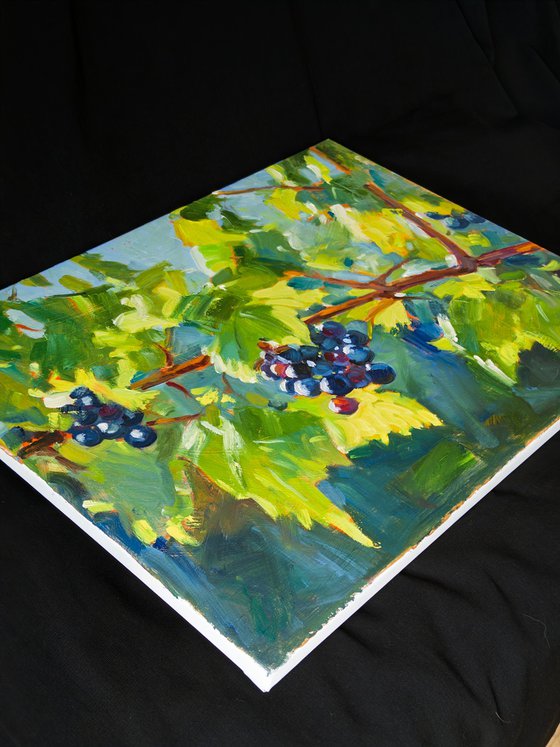 Sun-Kissed Grapes