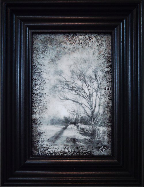 Framed Avonside Drive by Roseanne Jones