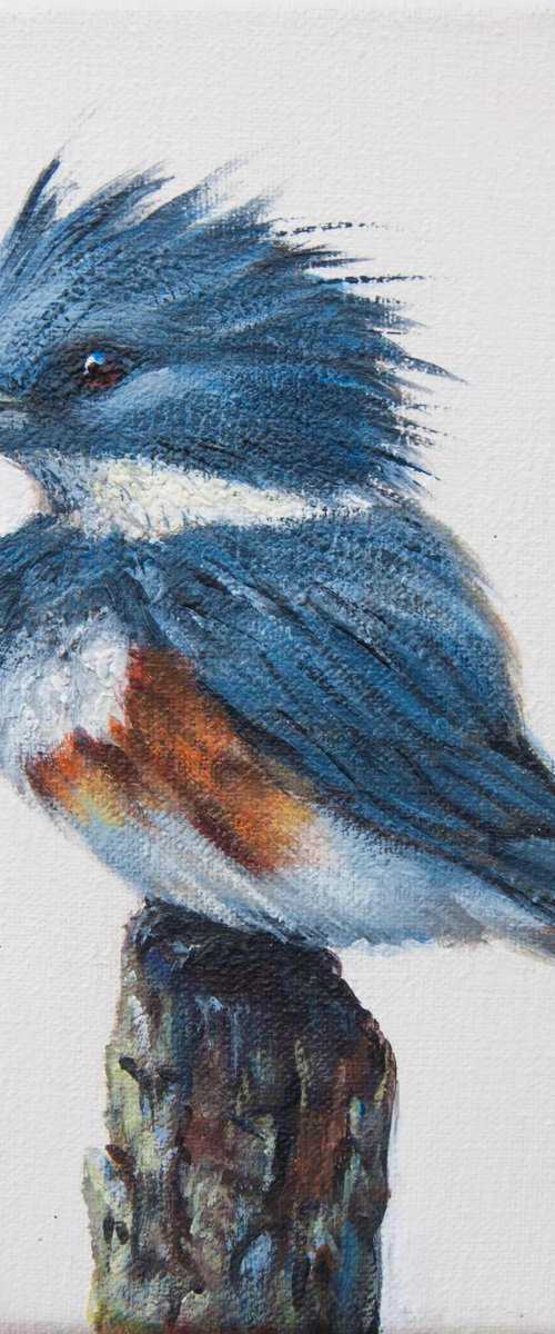 Kingfisher 5 by Norma Beatriz Zaro