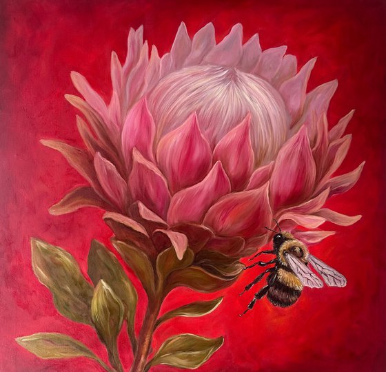 Protea