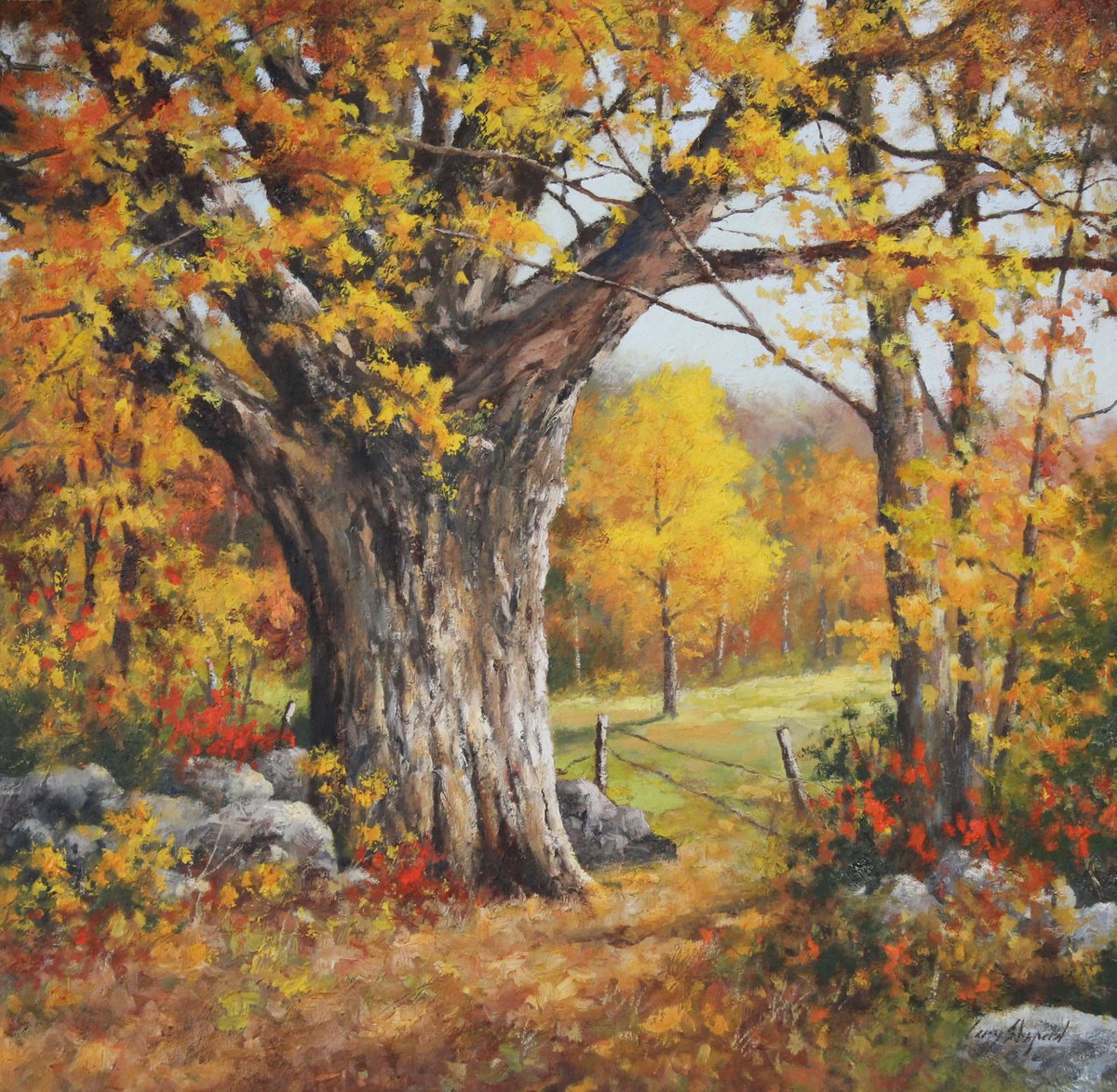 Old Maple by Gary Shepard