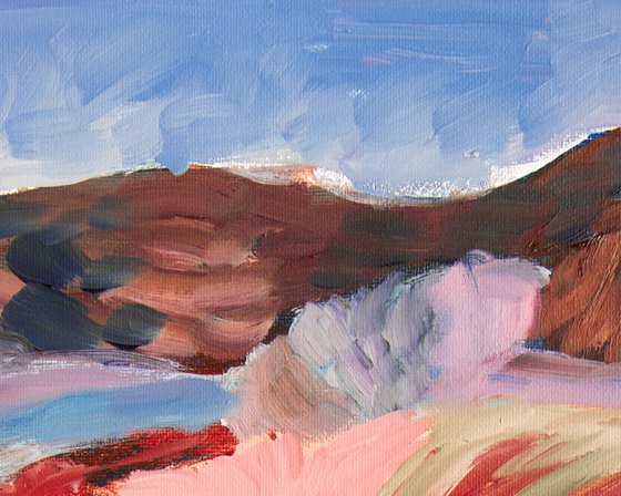 Moorland in Bloom