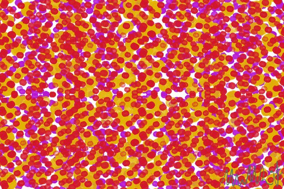GA#218 color spot