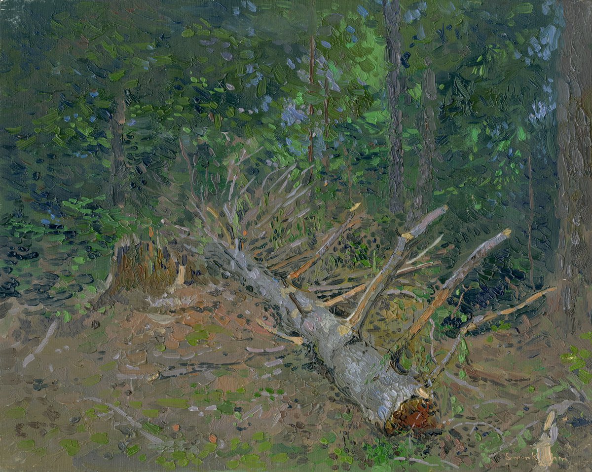 Fallen tree. Arkhyz by Simon Kozhin