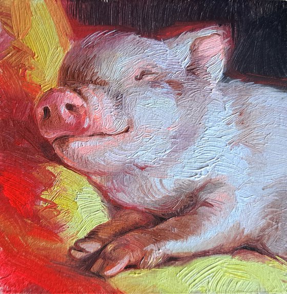 Pig portrait