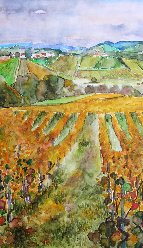 WINEYARDS by Zoran Mihajlović Muza