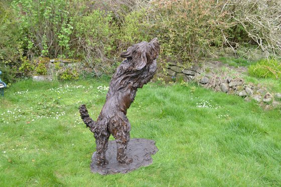 Leaping Bearded Collie Resin