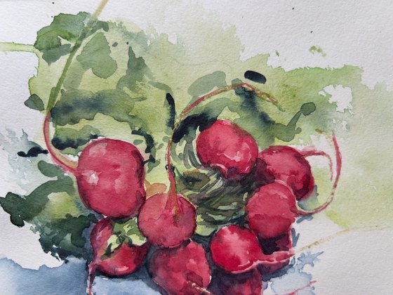 A bouquet of radishes