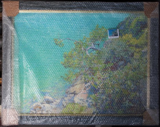 Pine in the Blue Lagoon