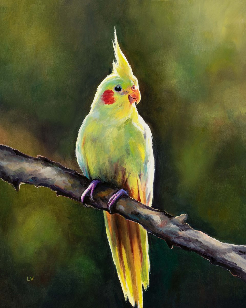 Photorealistic Animal Oil Painting By Lucia Verdejo, 11 X 13", Yellow Cockatiel On A Branch, Original Artwork