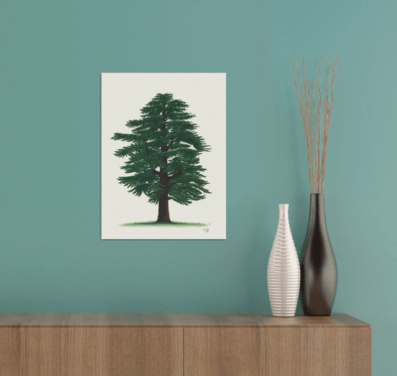 Cedar of Lebanon