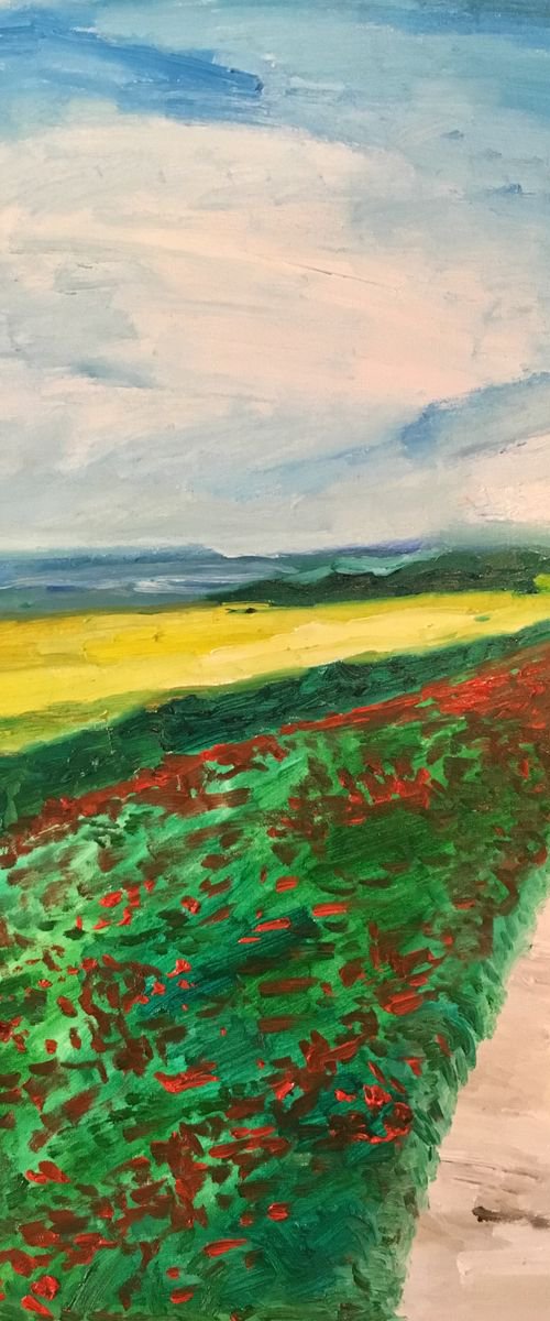 Landscape - Poppies by Kat X