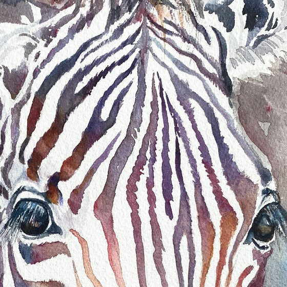 Zebra Zen