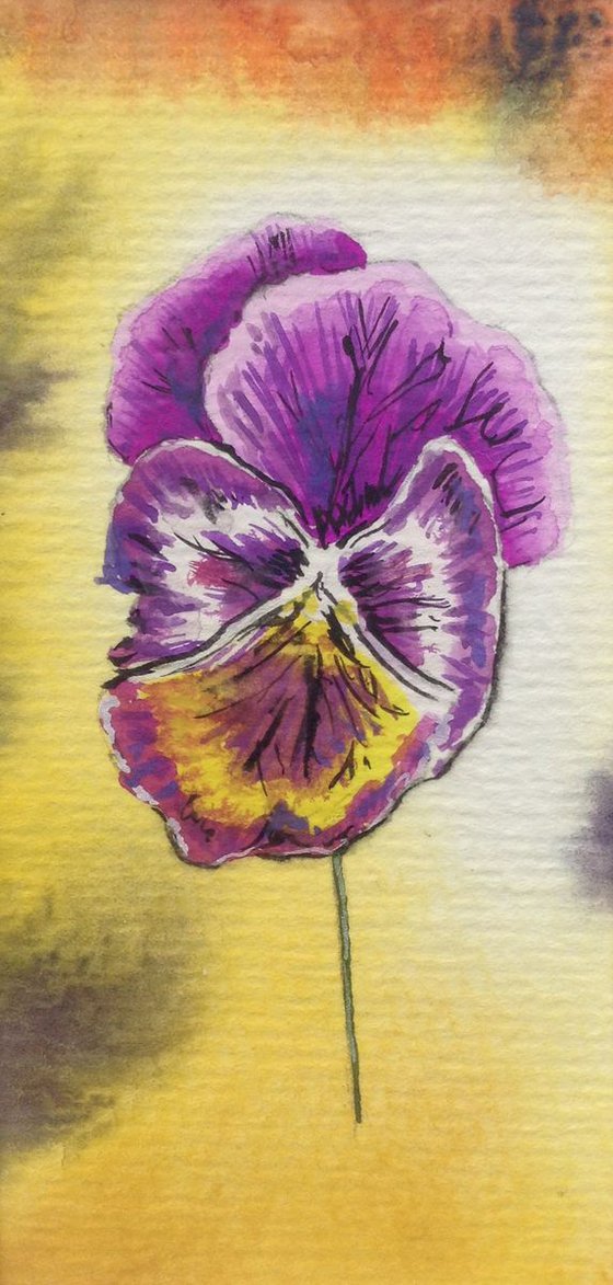 Pansy Series No. 4