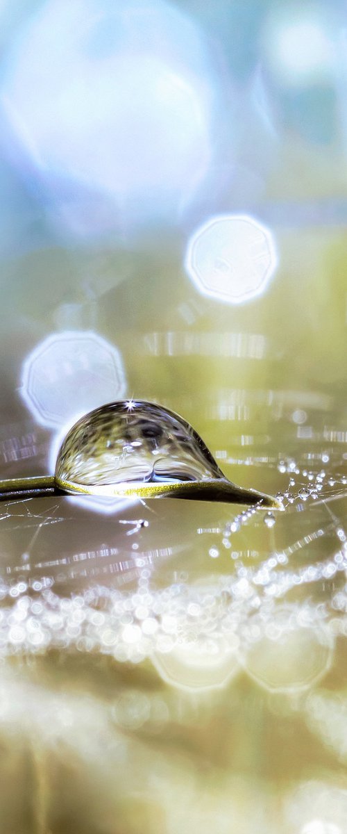 Aphantasia's flight by Inna Etuvgi