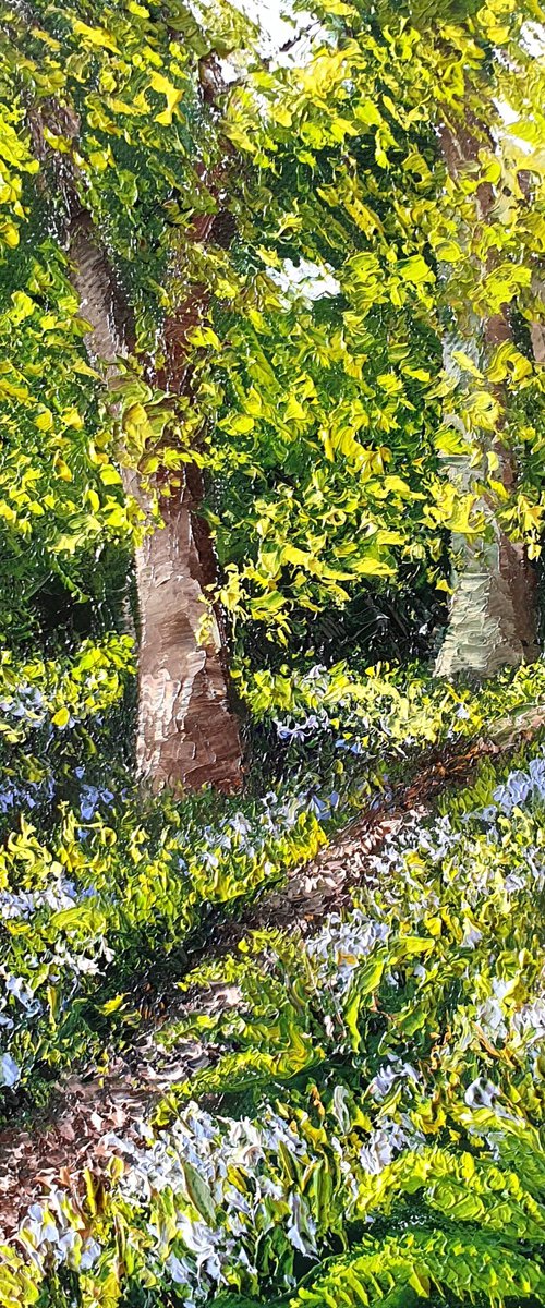 Spring Woodland by David Wettner