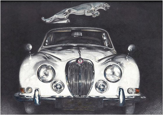 The white Jaguar