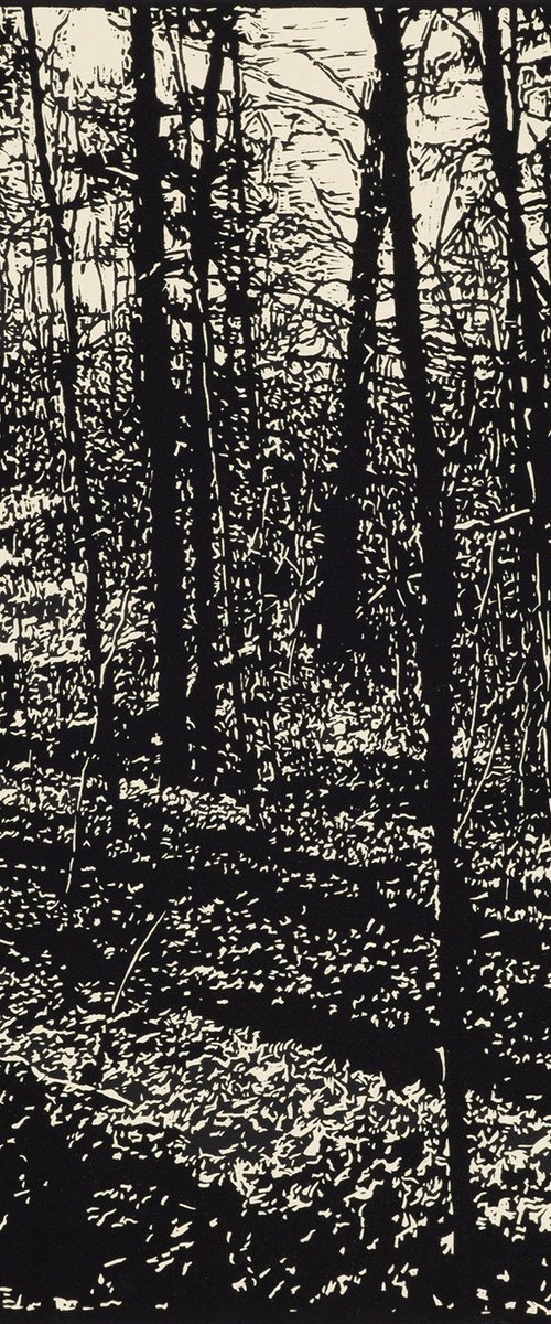 APRIL STAR by David Conn