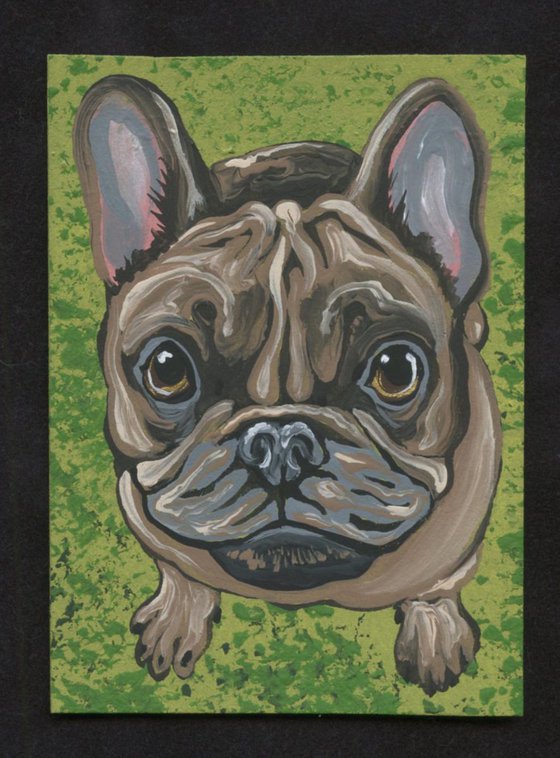 ACEO ATC Original Painting French Bulldog Frenchie Dog Art-Carla Smale