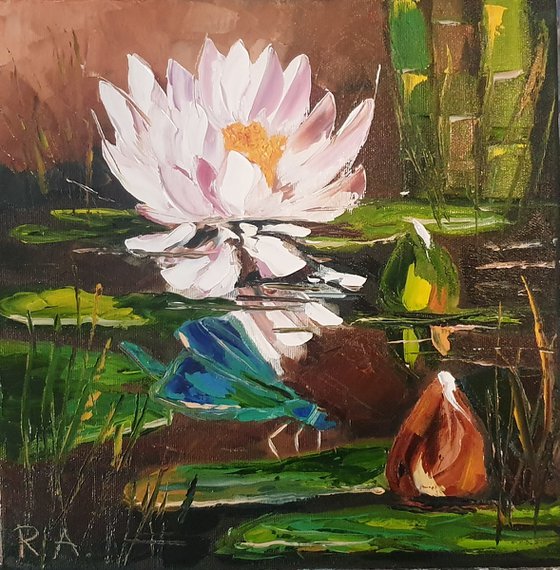 Water lily 30*30