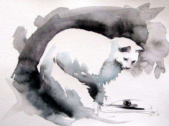 White cats triptych