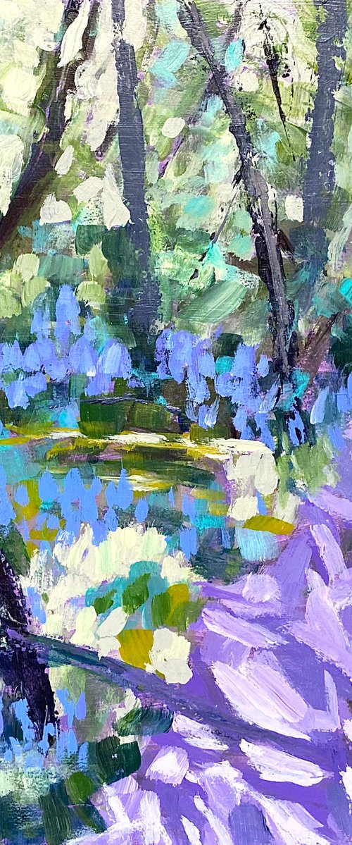 Dappled Light and Bluebells by Nikki Wheeler