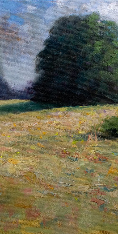 Impressionist summer field, grass and wild flower by Gav Banns