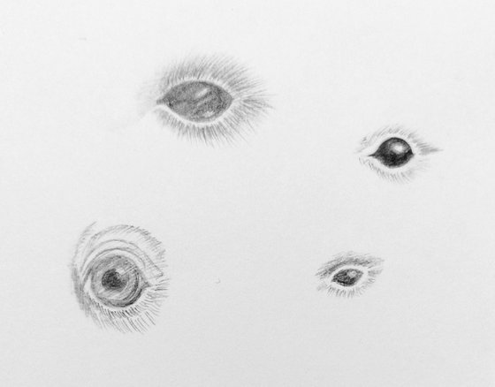 Sight. Original pencil drawing.