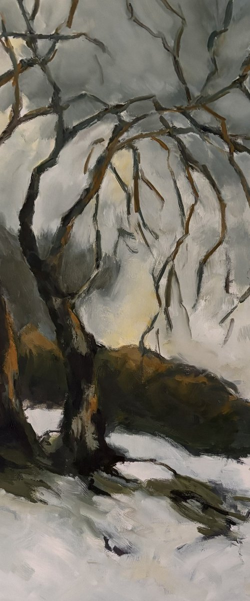 Brittle Winter 2 by Joanna Farrow