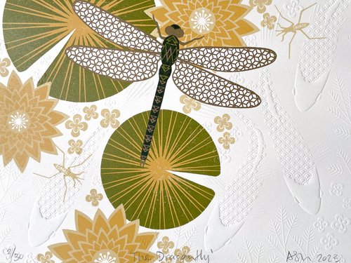 The Dragonfly by Ashley Hutchinson