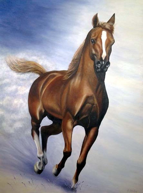 Galloping Horse Oil Painting By Gillian Coates Artfinder