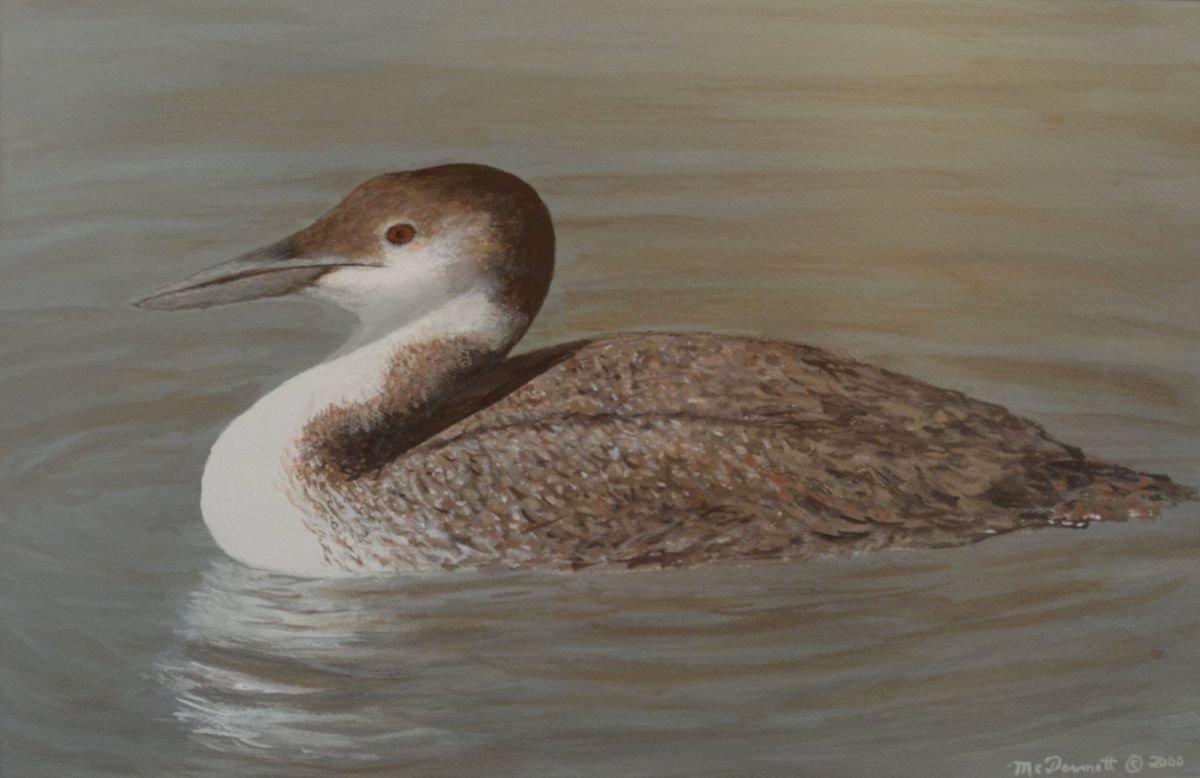 Photorealistic Animal Acrylic Painting By Kathleen Mcdermott, 22 X 16", Winter Loon - Framed, Original Artwork