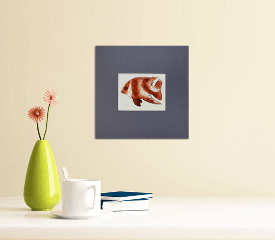Exotic RED FISH