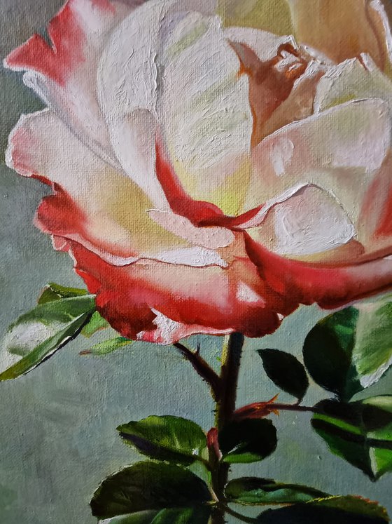 "Illuminated by the sun."  rose flower  liGHt original painting  GIFT (2021)