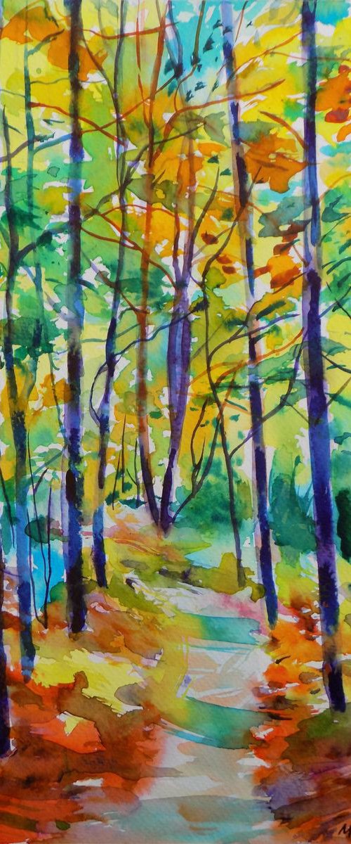 Forest path VIII by Maja Grecic