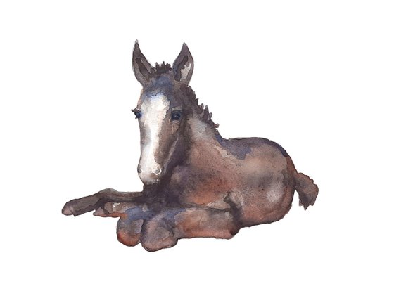 Friendly Filly - Original Watercolour Painting