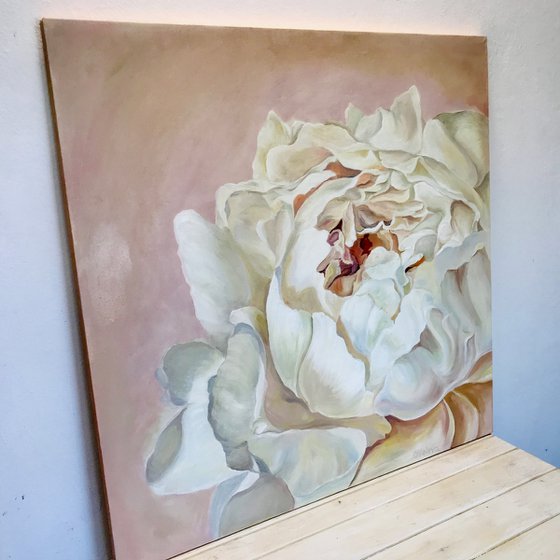 Pastel Peony