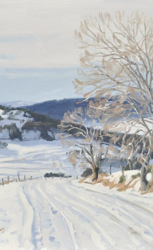 December 11, Snowy path in Mézenc by ANNE BAUDEQUIN