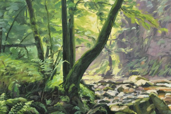 Morning Light On The Sumène