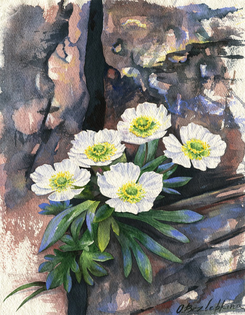 Flower power 01 - flowers and rocks by Olga Bezlepkina