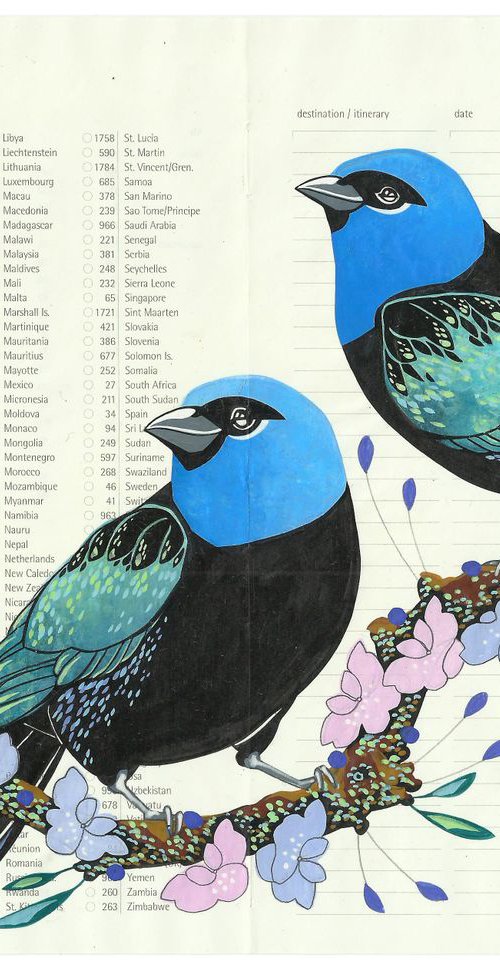 Birds of South America: Blue Necked Tanager by Fran Giffard