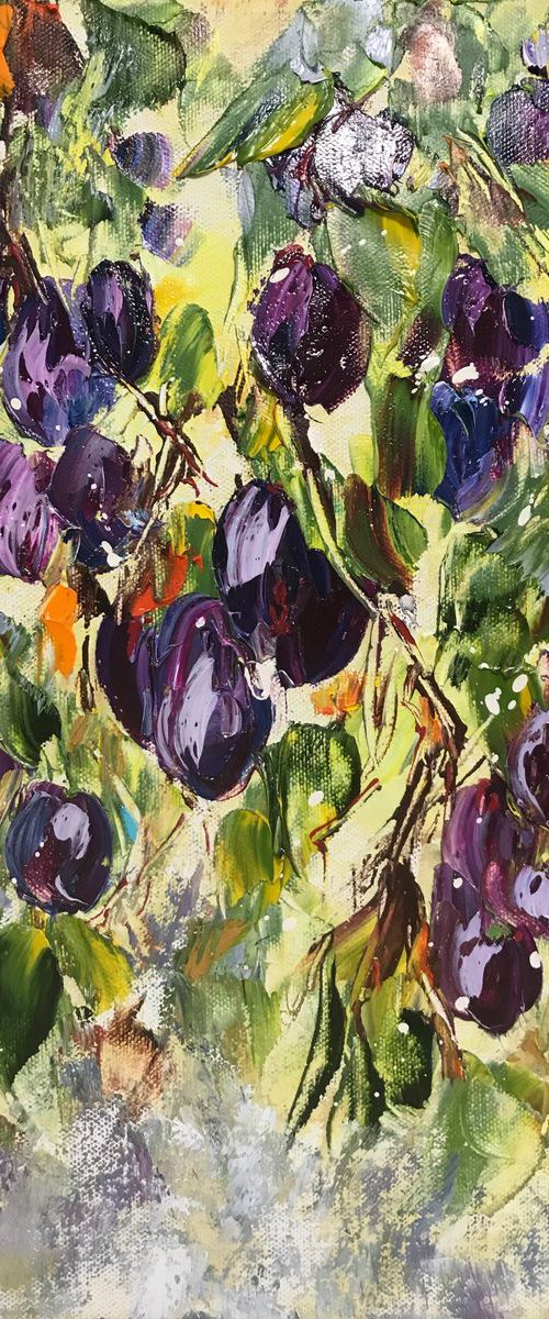 Plums by Diana Malivani
