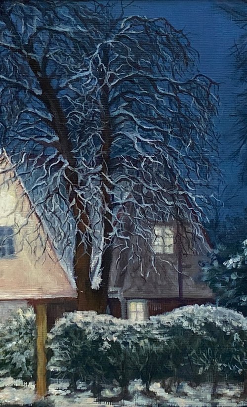 December Snow, Wills Grove by Diana Sandetskaya