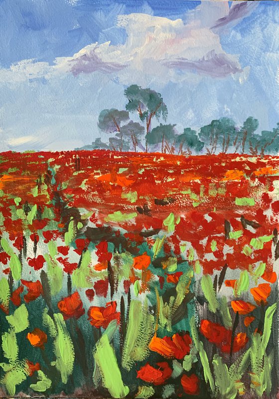 Poppy field.